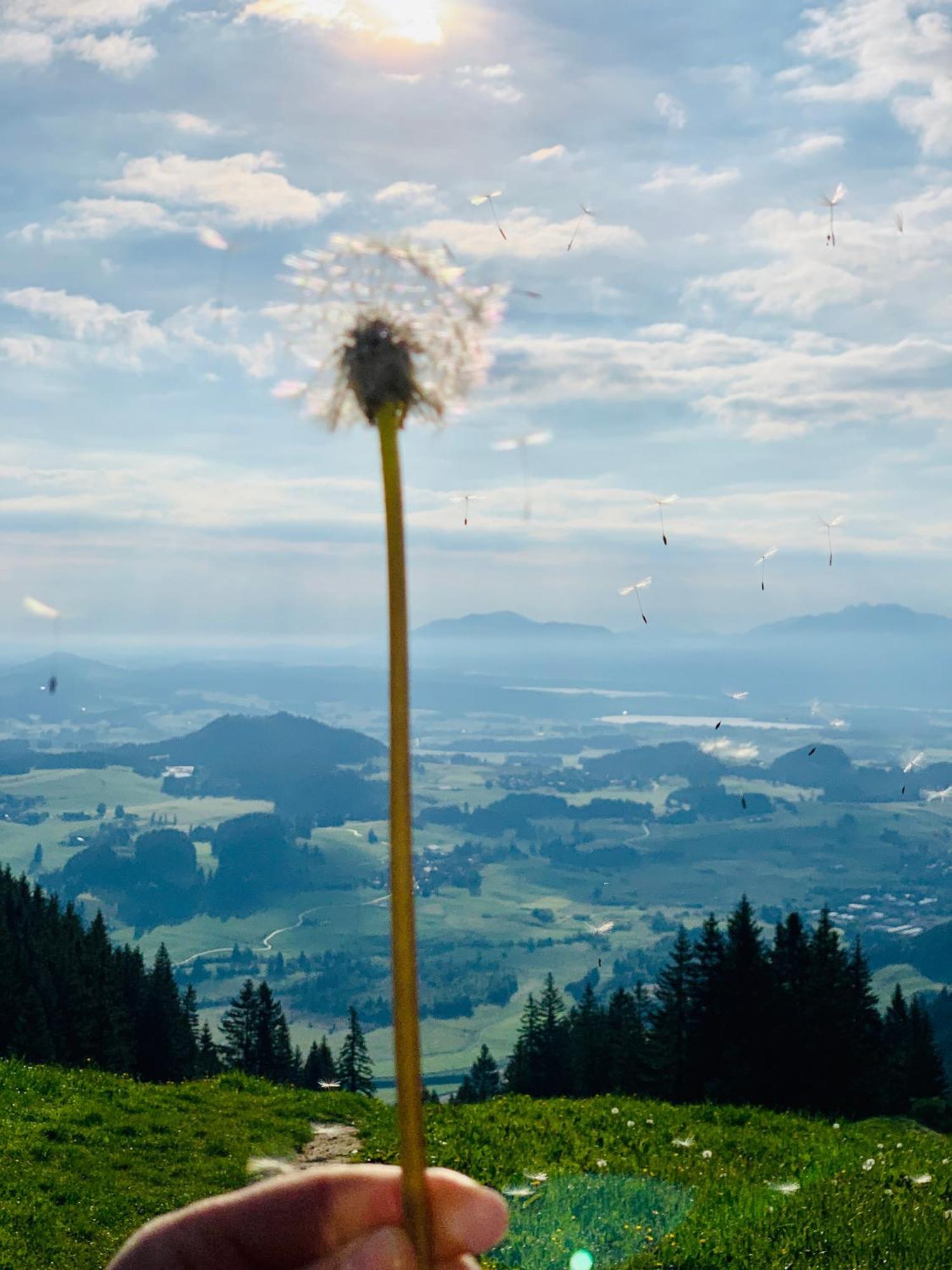 Ferienhaus Sommer Pfronten Luaran gambar
