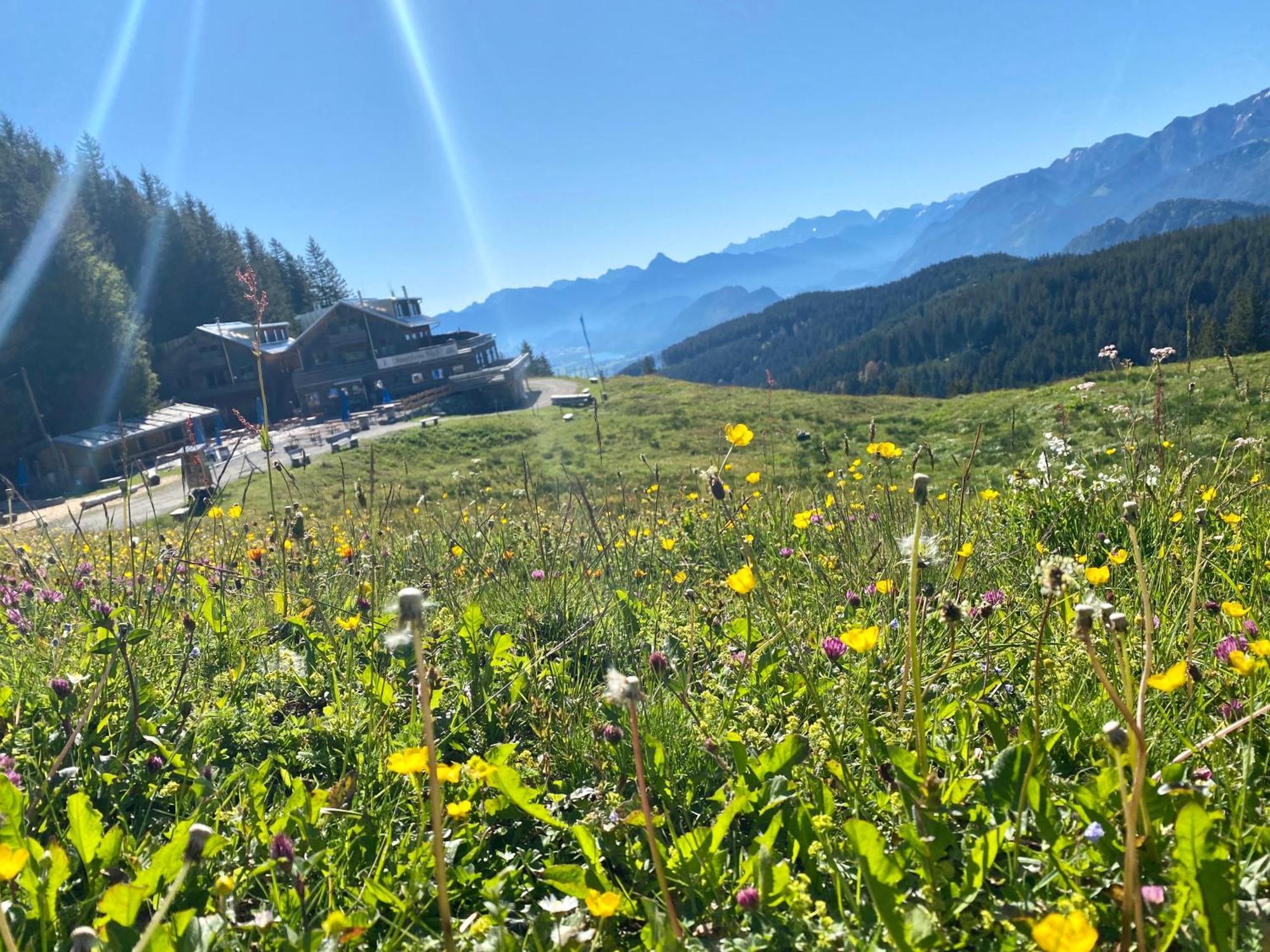 Ferienhaus Sommer Pfronten Luaran gambar