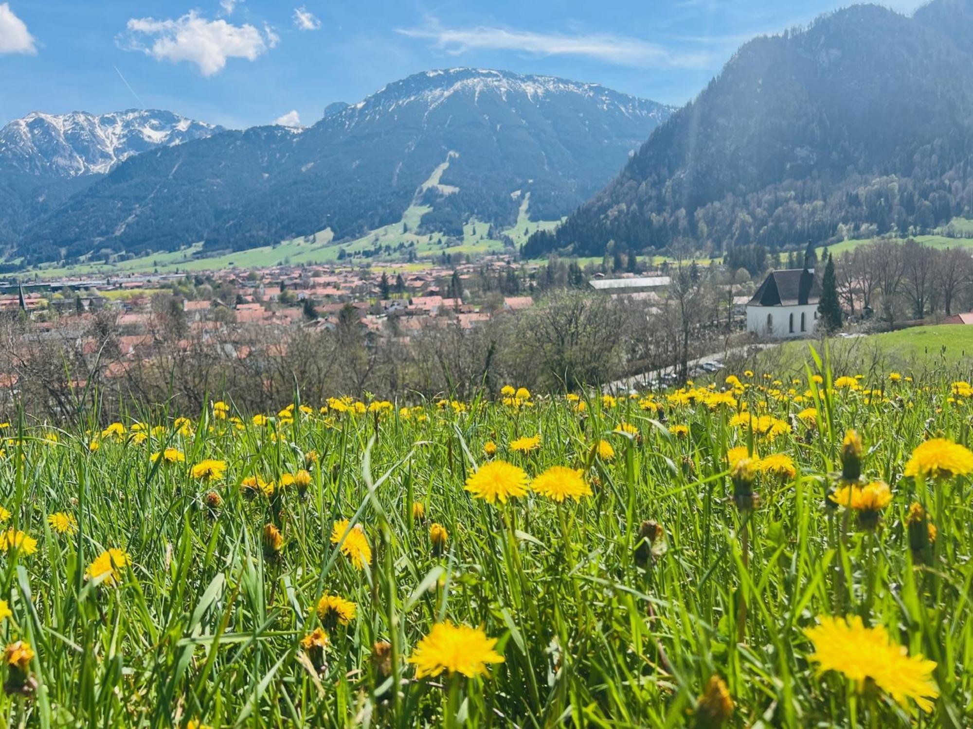 Ferienhaus Sommer Pfronten Luaran gambar